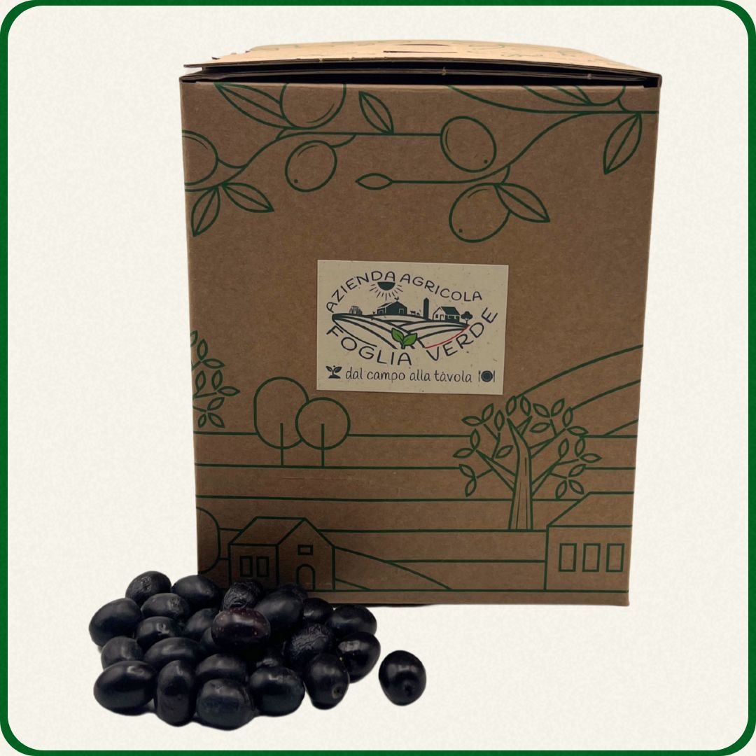 Olio Extra Vergine di Oliva 5l
