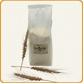 Farina di Grano Antico Tenero “Gentil Rosso” ideale per Dolci, Piadina e Pizza 1 Kg
